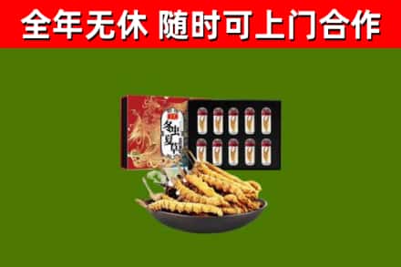 渝水区回收冬虫夏草价格